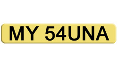 Private car number plate for a sauna, plumber, spa
